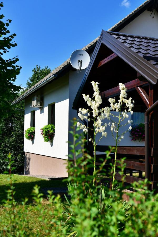 Ostrun Holiday home *